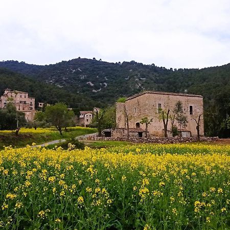 El Castell De Seguero Apartment Beuda Luaran gambar
