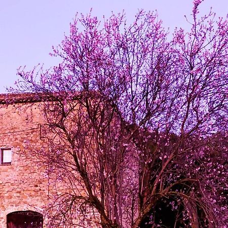 El Castell De Seguero Apartment Beuda Luaran gambar