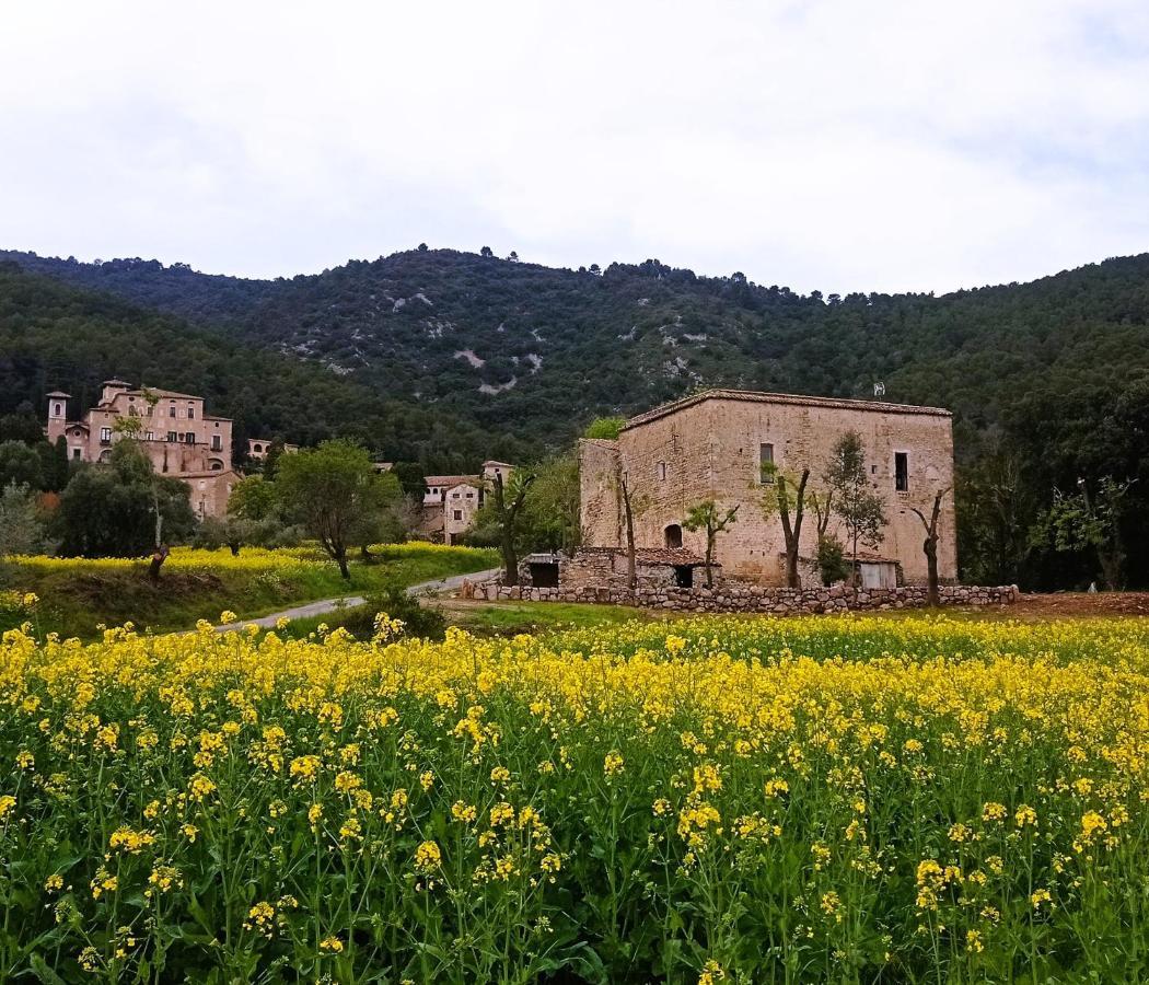 El Castell De Seguero Apartment Beuda Luaran gambar