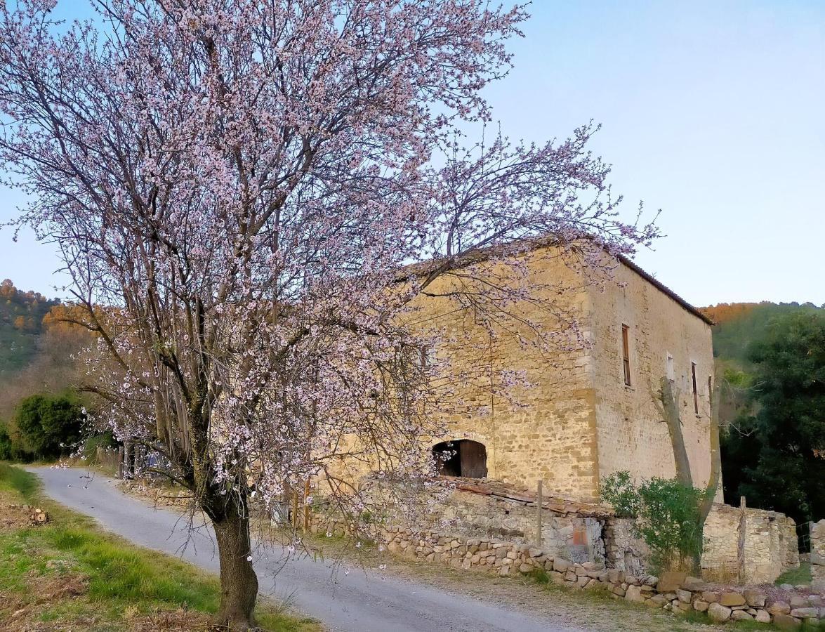 El Castell De Seguero Apartment Beuda Luaran gambar